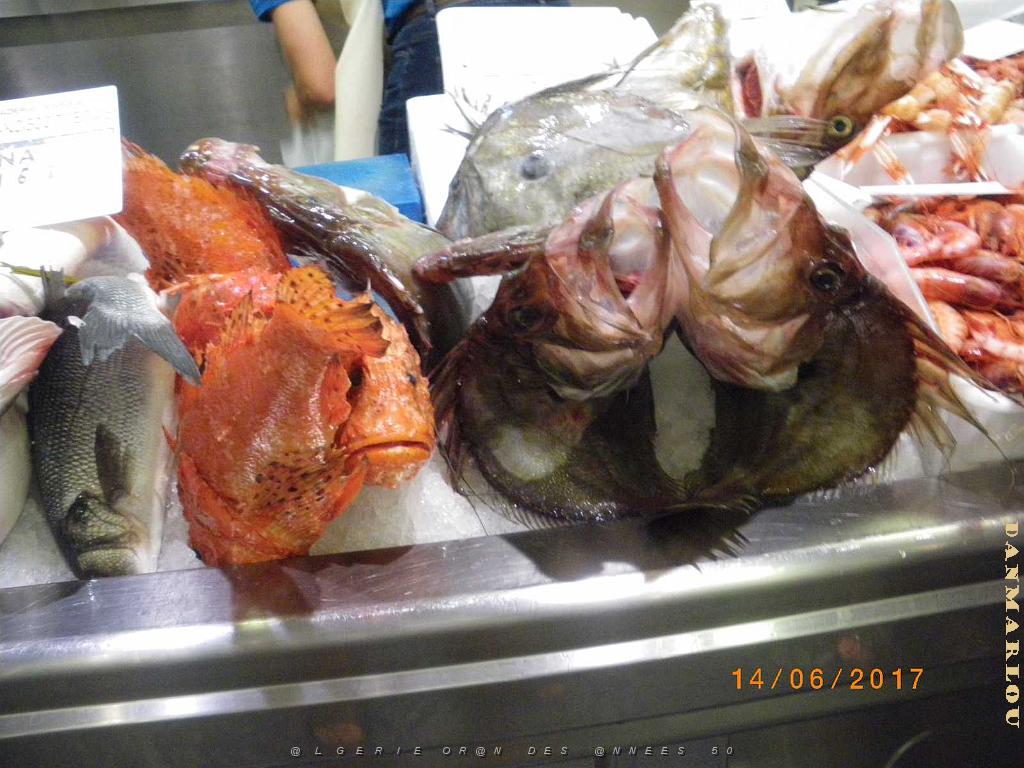 4 almeria 1 (3).JPG